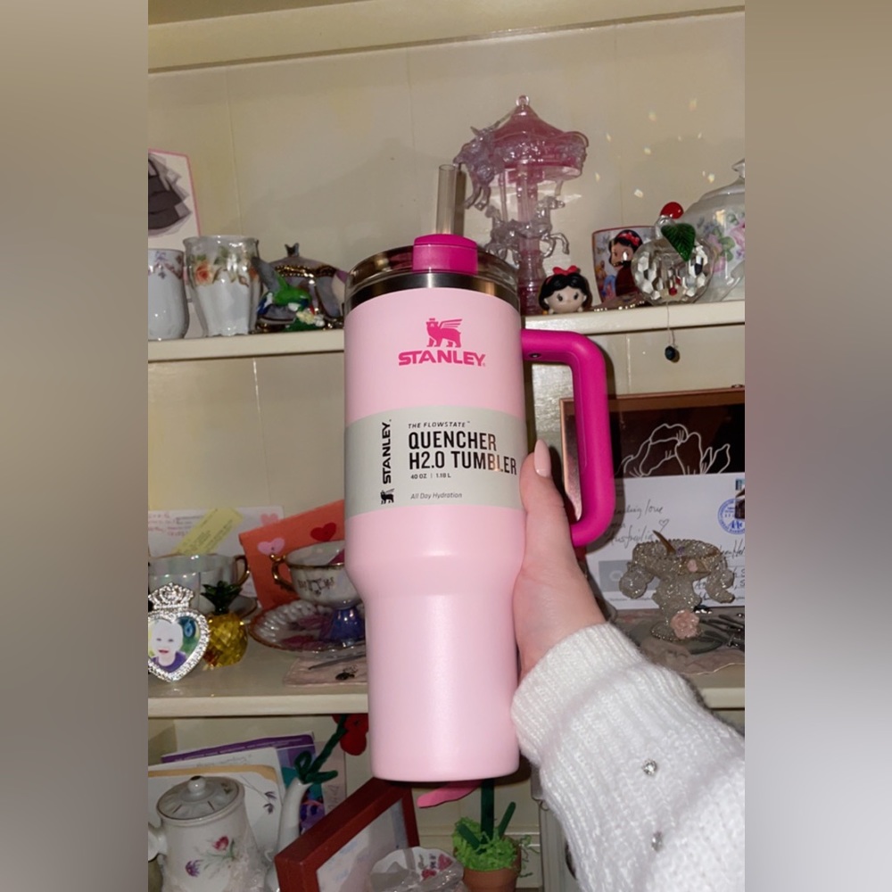 🦩NWT target exclusive pink flamingo Stanley cup🦩✨
